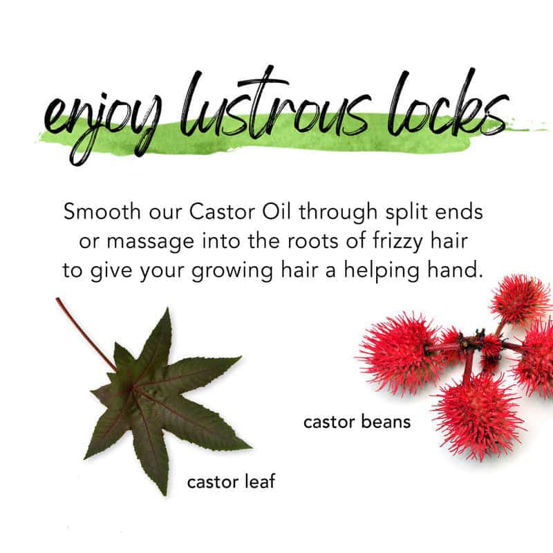 Ricinusolie (Castor Oil) - øko - Image 2