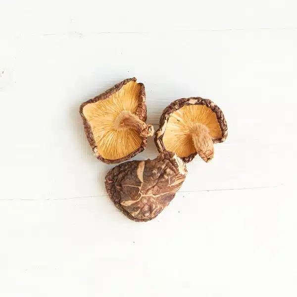 Shiitake svampe - øko - Image 3