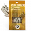 sauge-de-californie-