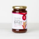 MSR0202.300AOrganicBarleyMaltSyrup-622404_2000x