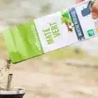 Økologisk, vild Yerba Mate med lægeplanter