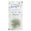 EPON02_epongekonjac-verte_pack-scaled