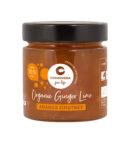 124933-DE_Ginger_Lime_Ananas_Chutney_225gWEB