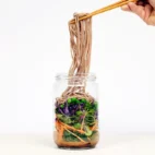 Rainbow Soba Nudel Salat med Miso Tahin Dressing
